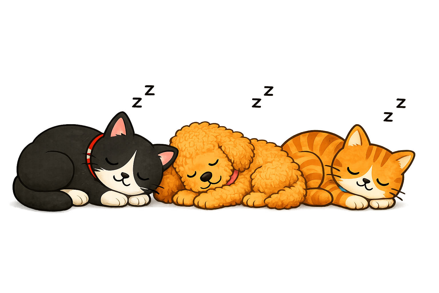 Sleeping i:ON pals